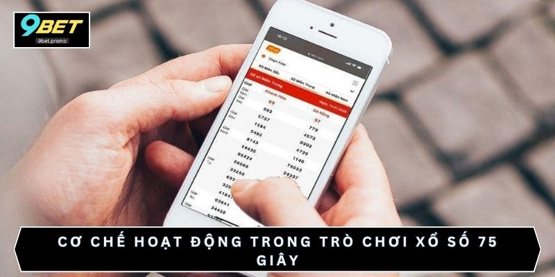 Cơ chế hoạt động trong trò chơi xổ số 75 giây